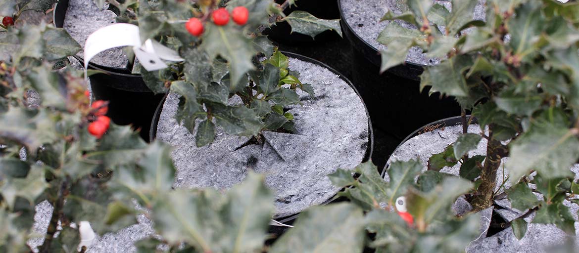 Hrncové disky netkané disky ochrana pred burinami Poľsko