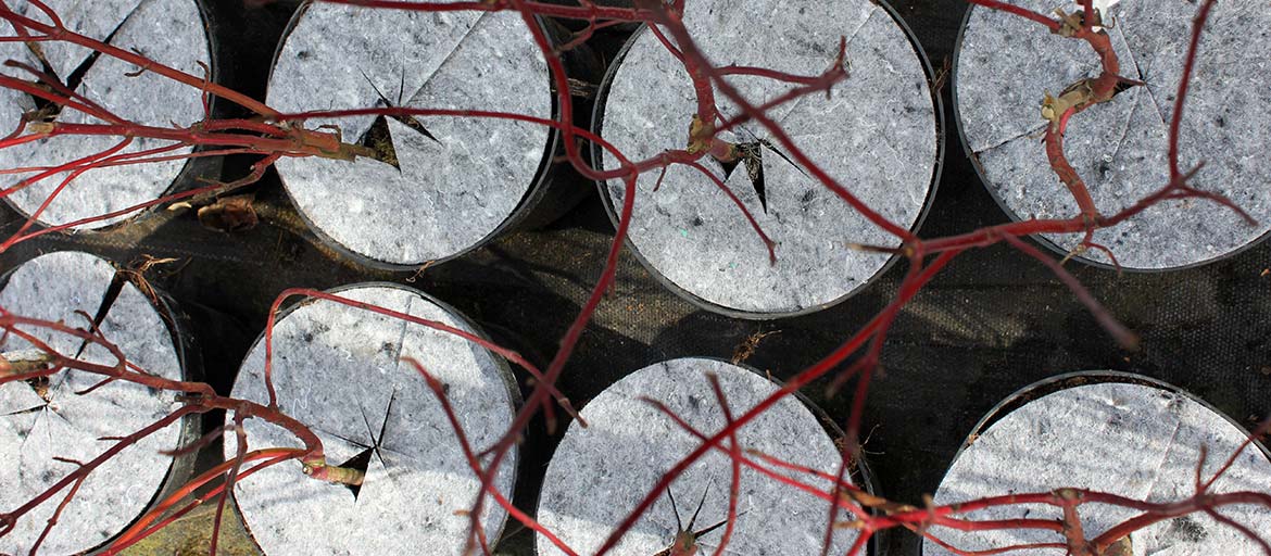 Hrncové disky netkané disky ochrana pred burinami Poľsko