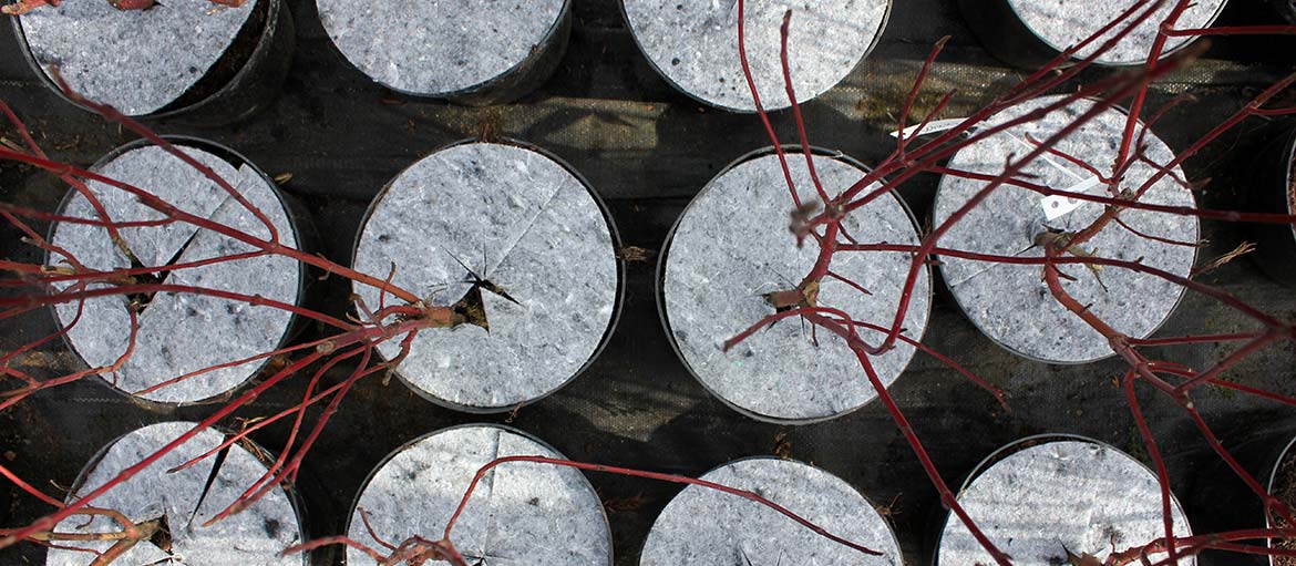 Hrncové disky netkané disky ochrana pred burinami Poľsko