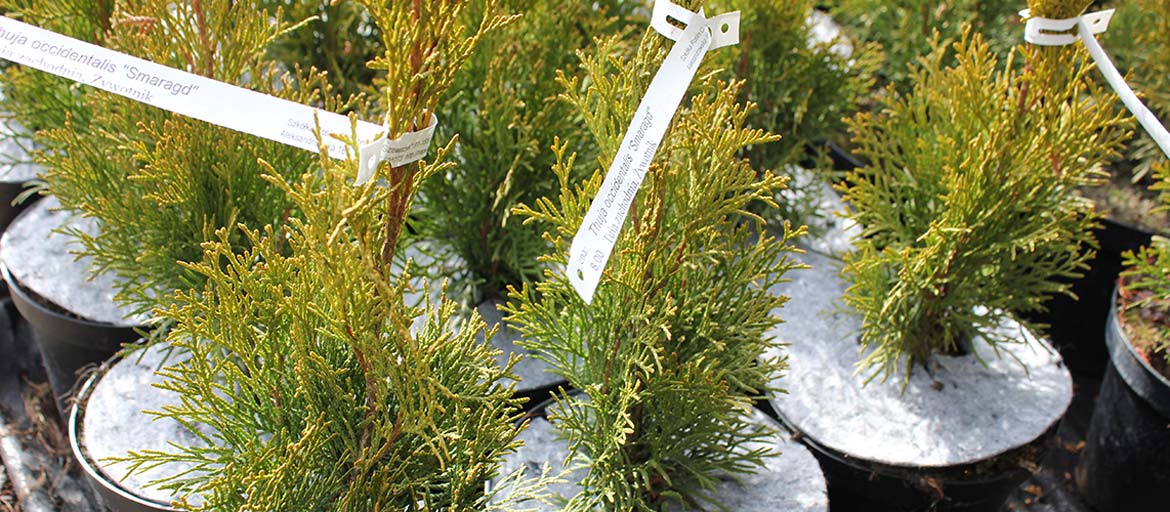 Hrncové disky netkané disky ochrana pred burinami Poľsko