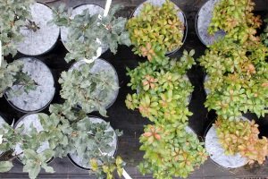 ochrana pred burinami Poľsko 01