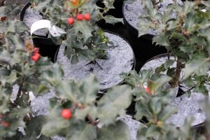 ochrana pred burinami Poľsko 02