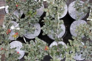 ochrana pred burinami Poľsko 06