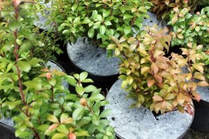 ochrana pred burinami Poľsko 05