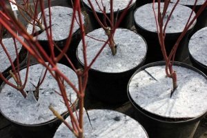 ochrana pred burinami Poľsko 03