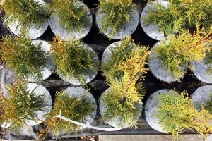 ochrana pred burinami Poľsko 04