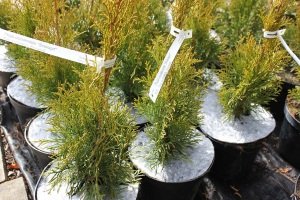 ochrana pred burinami Poľsko 08